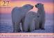 27 февраля - Международный день полярного медведя. 